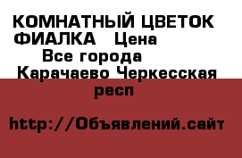 КОМНАТНЫЙ ЦВЕТОК -ФИАЛКА › Цена ­ 1 500 - Все города  »    . Карачаево-Черкесская респ.